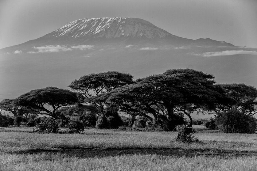 kilimanjaro-tanzania-piqsels