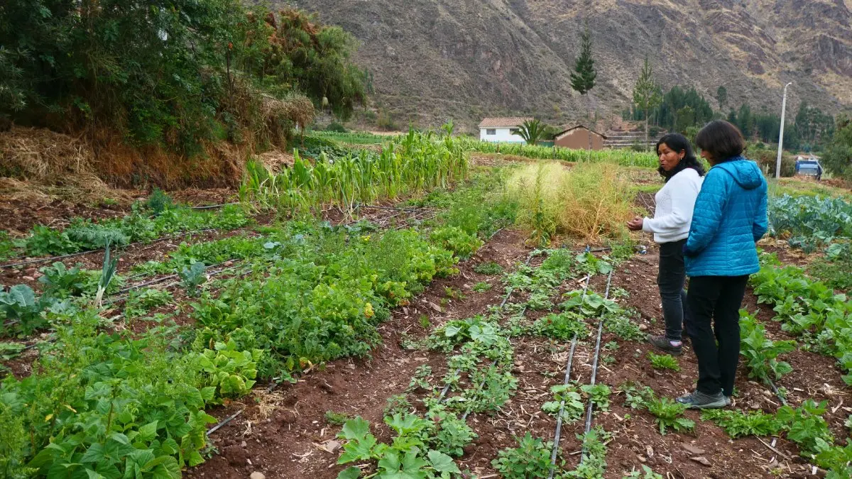 Valle Sagrado