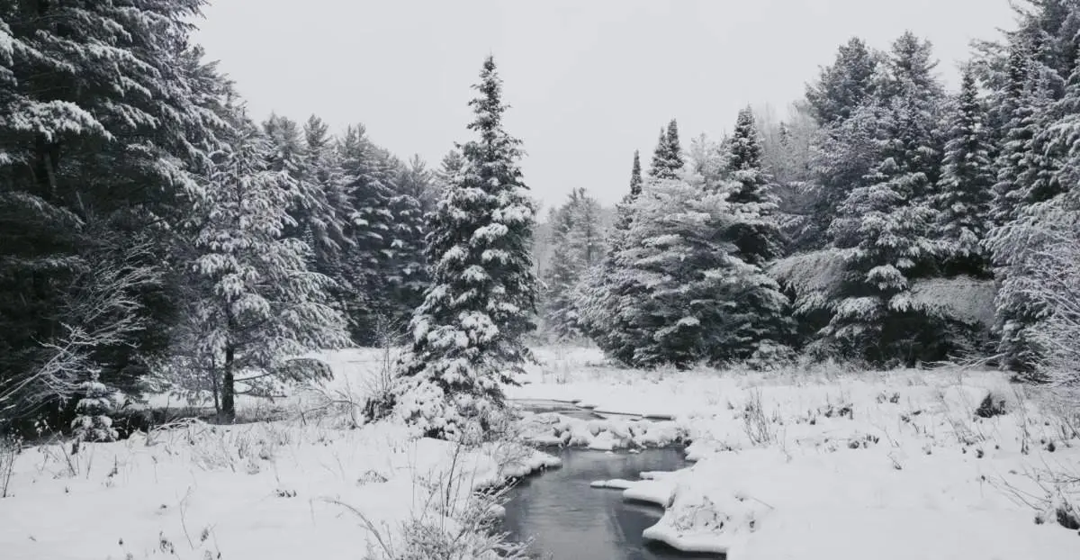 winter-jamie-scott