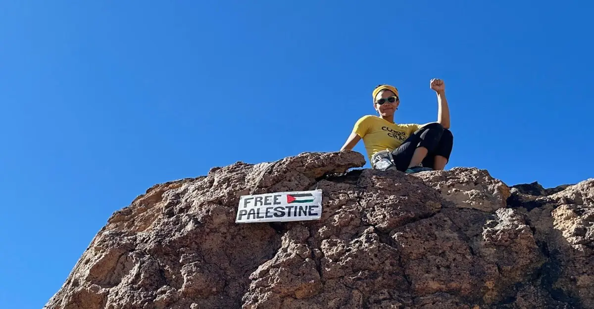 freepalestine-climbthewall