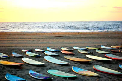 surf