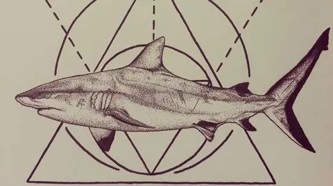 shark