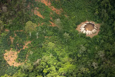 tribu0
