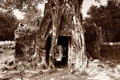 angkor-wat-1627778_1280
