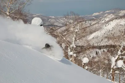 life-in-white-6