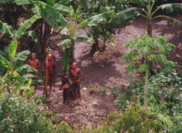 indigenas-1