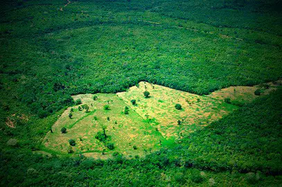 amazonia_deforestada
