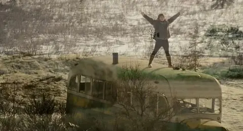 into-the-wild