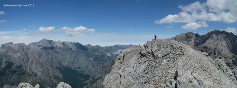 TORRE_FRIEROb