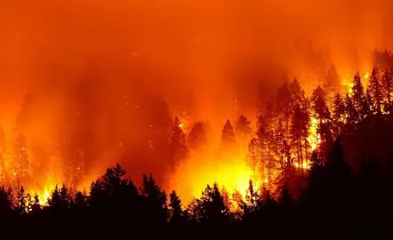 incendios-amazonas_opt (1)