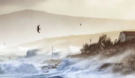 cambio-climatico-onu-olas_opt
