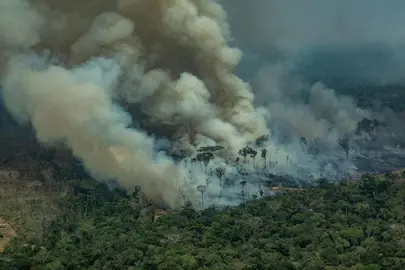 amazonas-greenpeace-min_opt