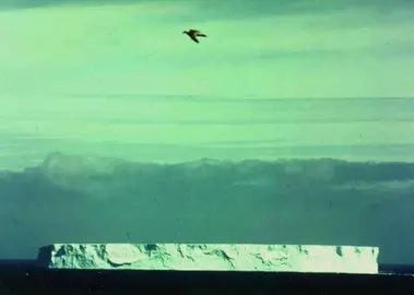 Iceber-2