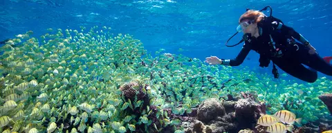 Palmyra-Atoll-and-Dr-Sylvia-Earle-&copy;-Bryce-Groark-Hope-Spot-Palmyra-1
