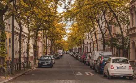 ciudades-arboles-pixabay