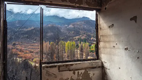 golondrinas-incendio