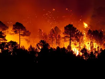 incendio-guadalajara