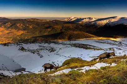 sierra-guadarrama-javier-abalos-flickr-licencia-cc