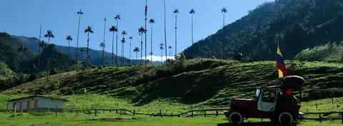 cocora-01