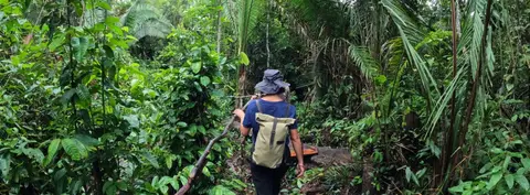 amazonas-1 (2)