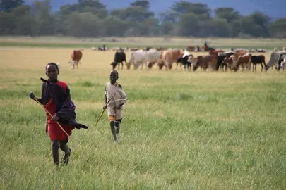 tanzania-licencia-cc-marc-veraart