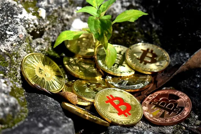criptomoneda
