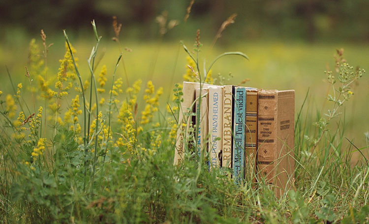 old_books_outdoors-wallpaper-960x600
