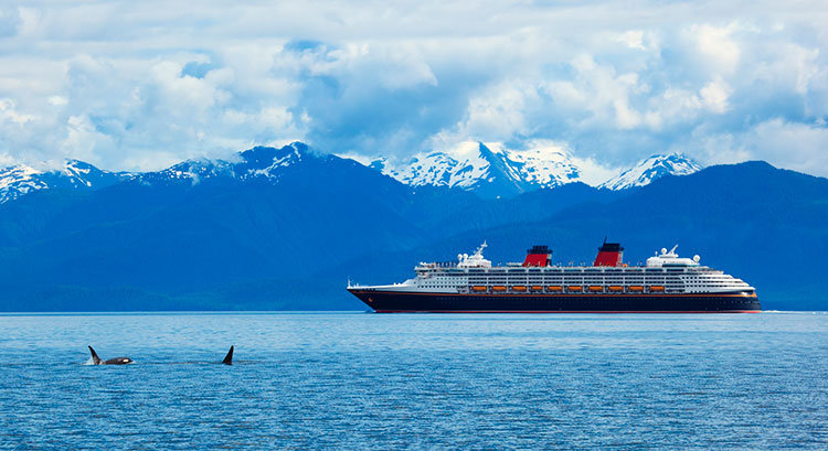 Orcas-Killer-Whales-with-Cruise-Ship