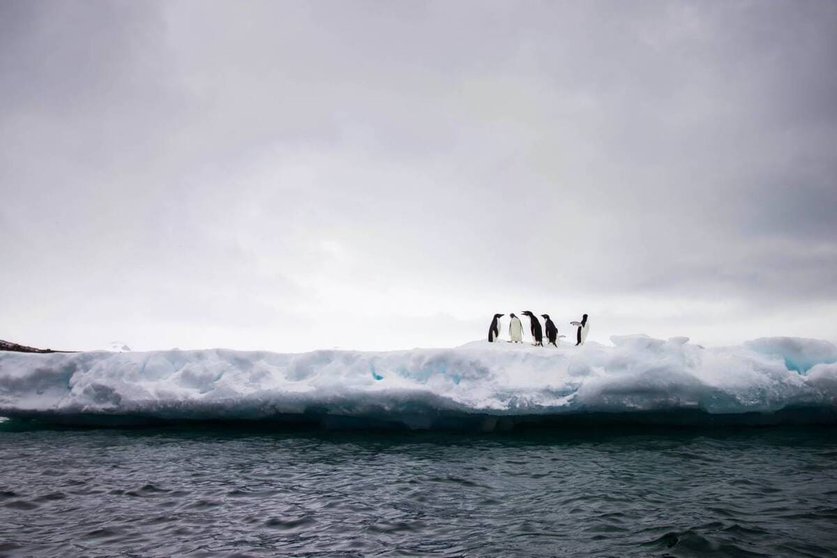 La-superficie-de-hielo-marino-antartico-alcanza-un-nuevo-minimo-historico (1) (1)