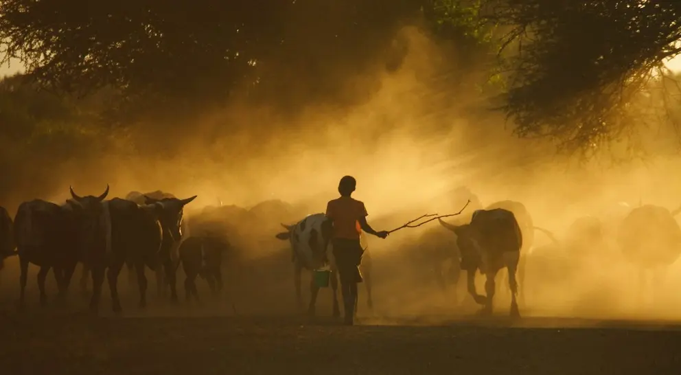 mozambique-flickr-ILRI-Stevie Mann-licencia-cc