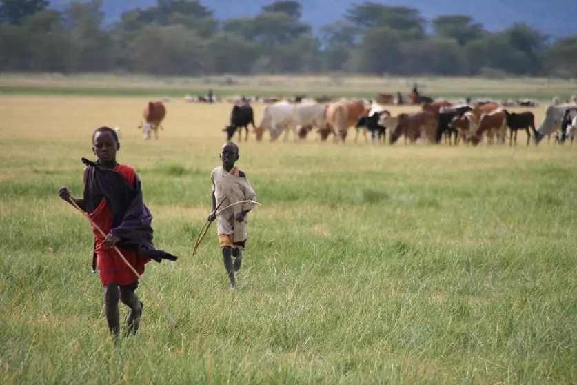 tanzania-licencia-cc-marc-veraart