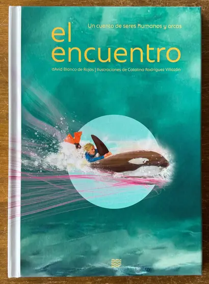 surf-orca-interior