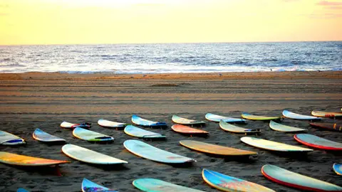 surf