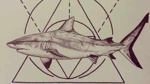 shark
