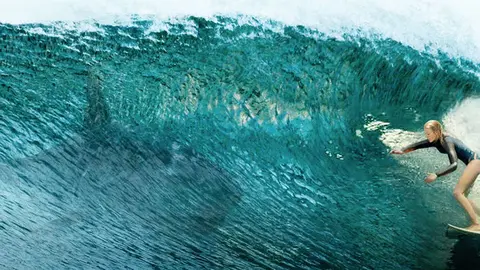 shark
