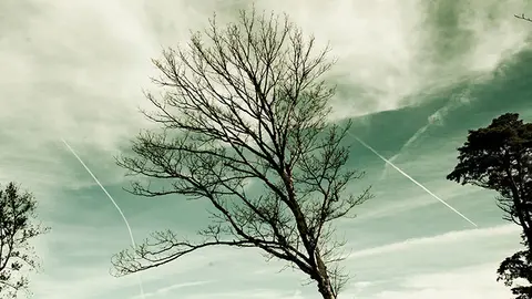 Nena-Díamon