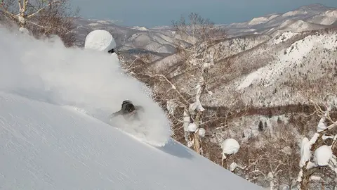 life-in-white-6