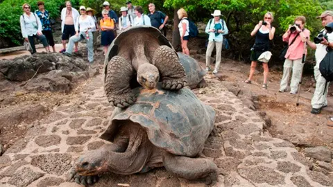 islas-galápagos-peligro-extincion-01