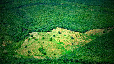 amazonia_deforestada