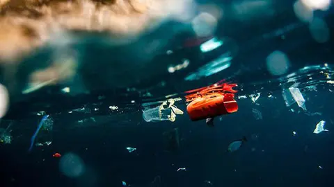 contaminacion-plastico-artico