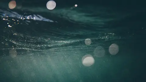 the-bloop