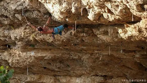 la-vida-en-vertical-1