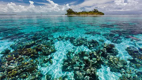 barrera-coral-belice