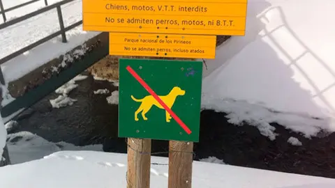 5.Cartel-perros-Francia