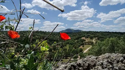 cerro-san-pedro-desde-pencc83arubia