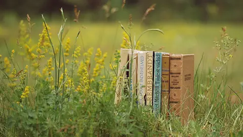 old_books_outdoors-wallpaper-960x600