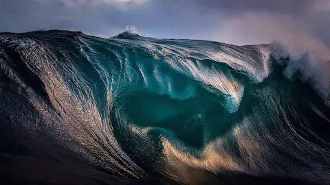 ray-collins-6