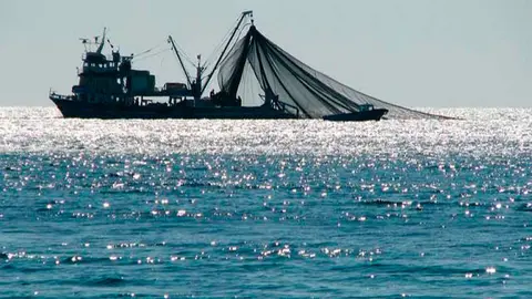 overfishing