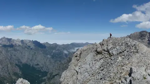 TORRE_FRIEROb