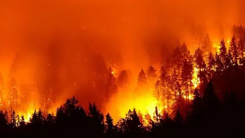 incendios-amazonas_opt (1)